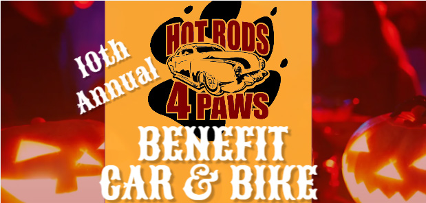 Hot for Paws Banner